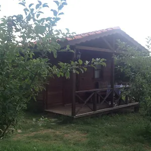 Salkim Konak Ve Agac Evler , Selçuk Türkiye